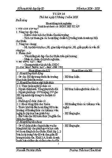Kế hoạch bài dạy Khối 5 - Tuần 16 - Năm học 2024-2025 - Nguyễn Thị Mai Hiển