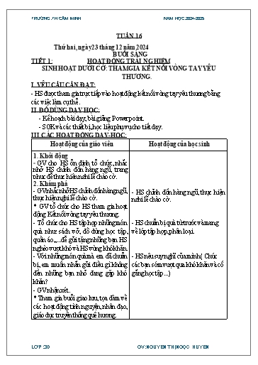 Kế hoạch bài dạy Lớp 3 - Tuần 16 - Năm học 2024-2025 - Nguyễn Thị Ngọc Huyền